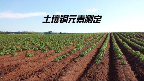 方案分享：電感耦合等離子發射光譜法測定土壤中的銅