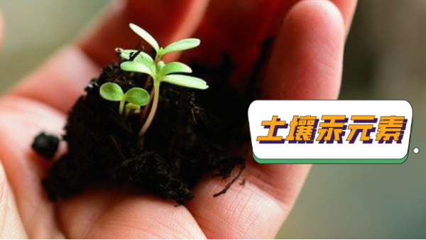 產品應用丨（shù）石墨消解+原子熒光（guāng）光譜法測定（dìng）土壤中的（de）汞