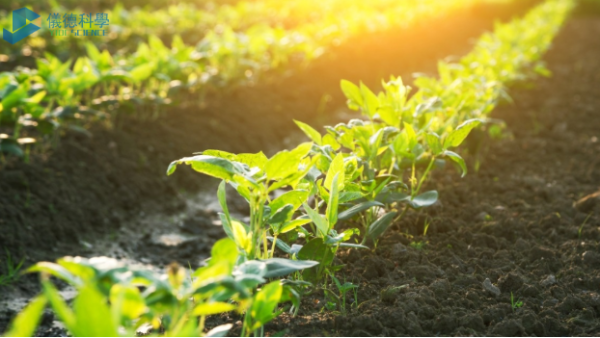 手持式RoHS測試儀在土壤重金屬汙染及（jí）修複的檢測應用