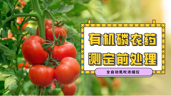 消解案例分享：全自動氮吹（chuī）濃縮氮（dàn）吹儀對有機磷農藥殘留分析