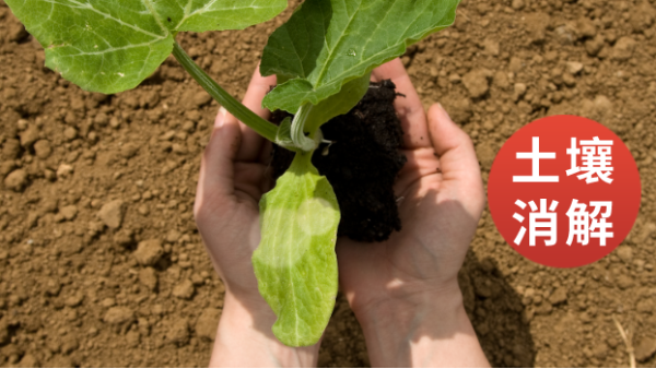 消解電熱板應用於土壤重（chóng）金屬檢測預處理的步驟操作