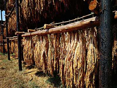 疾病預防控（kòng）製