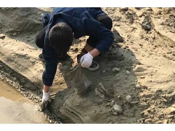 土壤和沉積物定（dìng）量（liàng）分析（xī）事例